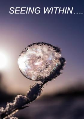 SEEING WITHIN….