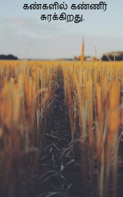 கண்களில் கண்ணீர் சுரக்கிறது.