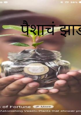 पैशाचं झाड