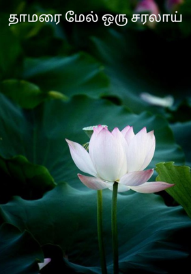 தாமரை மேல் ஒரு சரலாய்