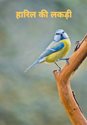 हारिल की लकड़ी