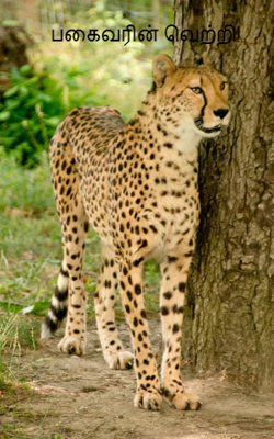 பகைவரின் வெற்றி!