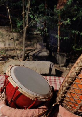 परिपक्व