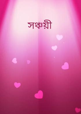 সঞ্চয়ী(প্রম্পট ১৮)