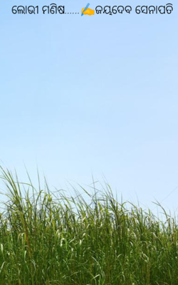 ଲୋଭୀ ମଣିଷ......✍️ଜୟଦେବ ସେନାପତି