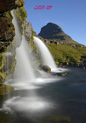 ఎదిగి పో