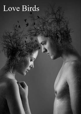 Love Birds