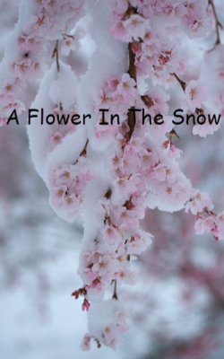 A Flower In The Snow
