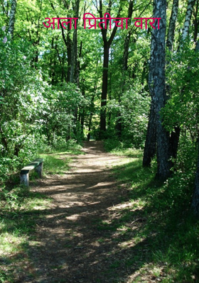 आला प्रितीचा वारा