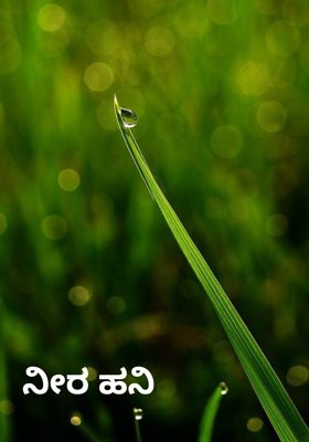 ನೀರ ಹನಿ