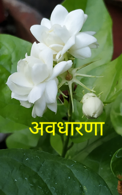 अवधारणा