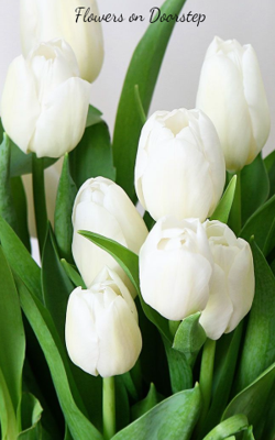 Flowers on Doorstep