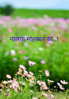 गलियां मोहब्बत की..!