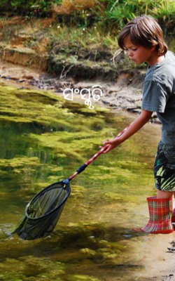 ସଂସ୍କୃତି