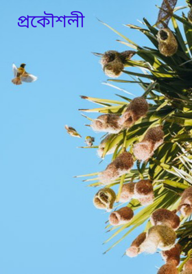 প্রকৌশলী