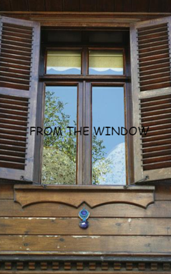 FROM THE WINDOW