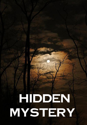 Hidden Mystery