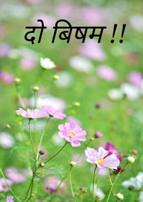 दो बिषम