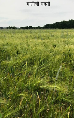 मातीची महती