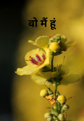 वो मैं हूं