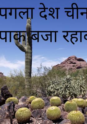 पगला देश चीन साथी पाक बजा रहा