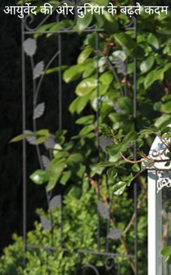 आयुर्वेद की ओर दुनिया के बढ़ते कदम