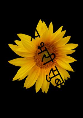 प्यार भरी सुबह