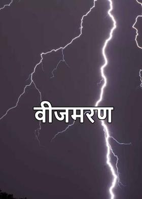 वीजमरण