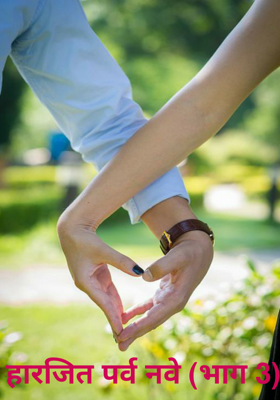 हारजित पर्व नवे (भाग 3)