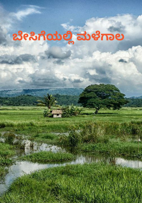 ಬೇಸಿಗೆಯಲ್ಲಿ ಮಳೆಗಾಲ