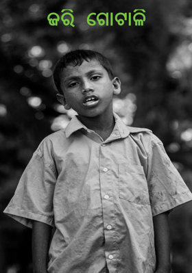 ଜରି ଗୋଟାଳି