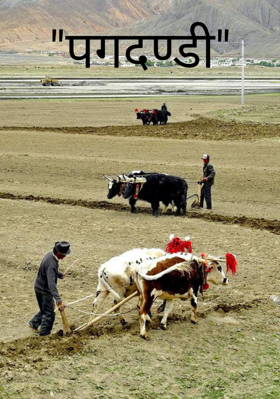 पगडण्डी