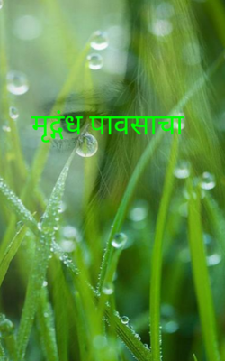 मृद्गंध पावसाचा