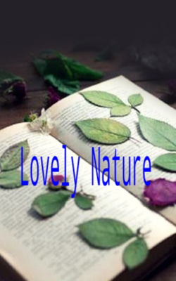 Lovely Nature