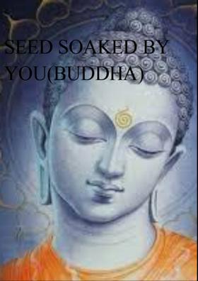 Seed Soaked By You (Buddha)