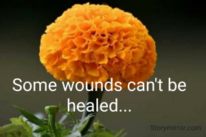 Some wounds can't be healed...