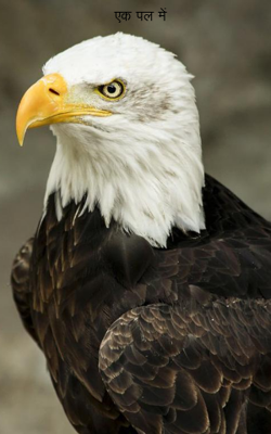 एक पल में