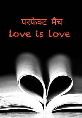 परफेक्ट मैच love is love