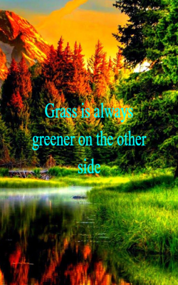 Grass Is Always Greener On The Other Side