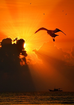 आईविना भिकारी