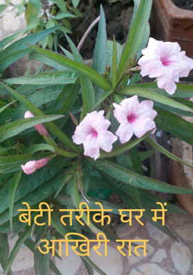 बेटी तरीके घर में आखिरी रात