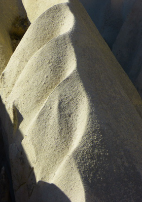 জীবনের বেড়াজাল