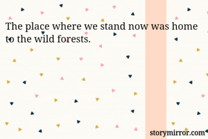 The place where we stand now was home to the wild forests.