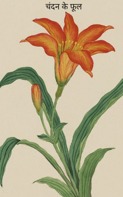 चंदन के फूल
