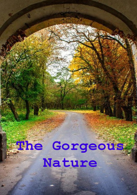 The Gorgeous Nature