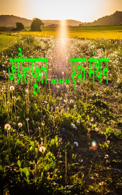 अप्रैलफूल .......एक मंथन