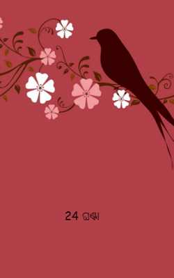 24 ଘଣ୍ଟା