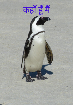 कहाँ हूँ मैं
