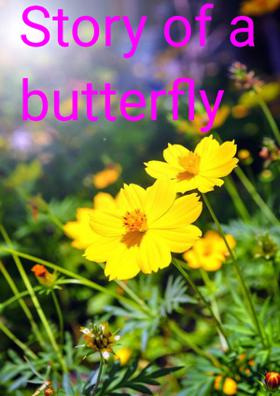 Story of a butterfly