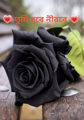 💗 তুমি রবে নীরবে 💗